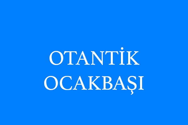 OTANTİK OCAKBAŞI
