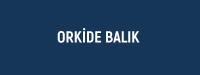 ORKİDE BALIK